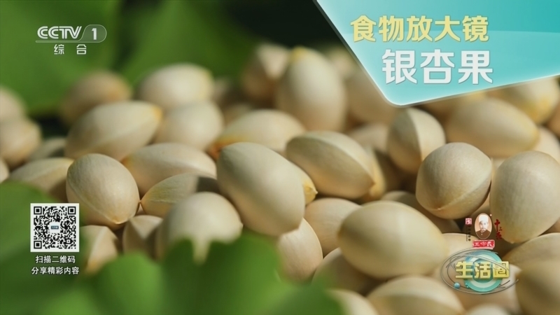 生活圈 《生活圈》 20241017