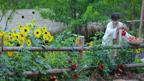 李子柒古香古食 番茄的花样吃法！