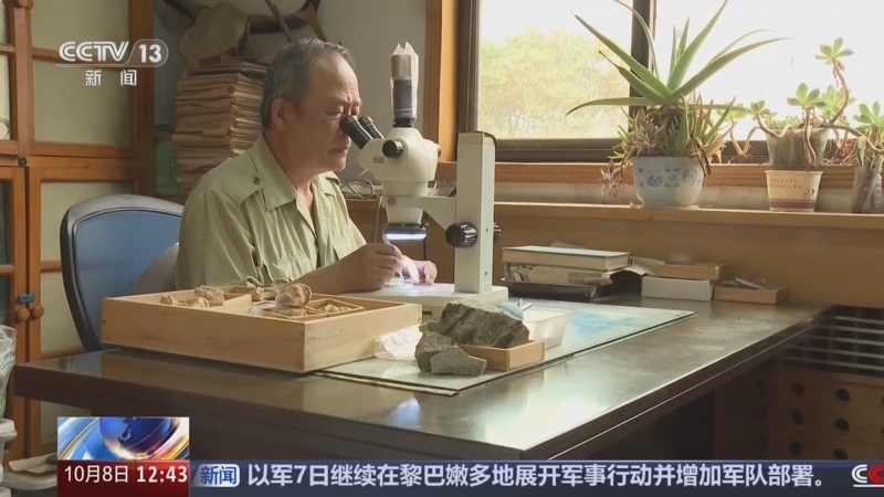 法治在线 《法治在线》 20241008