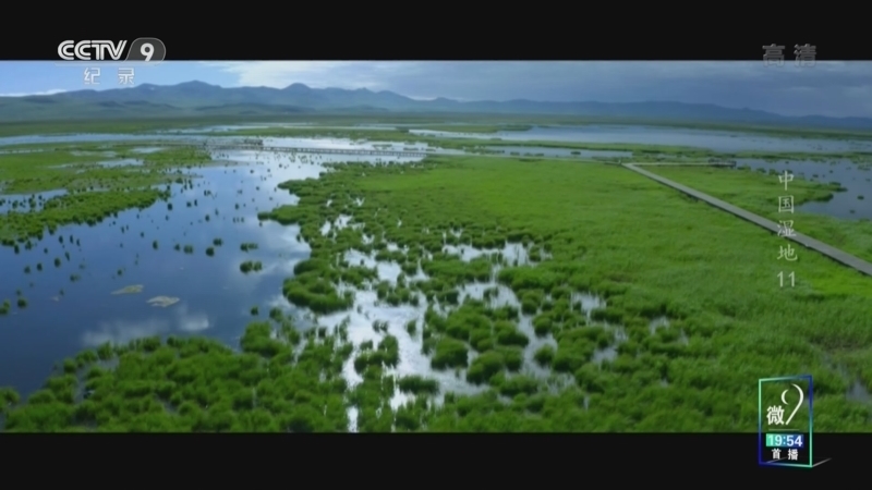 中国湿地 《中国湿地》 第11集