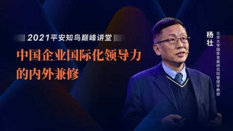 中国企业国际化领导力的内外兼修
