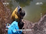 地理中国 《地理中国》 20170203 山河春色·连城异象