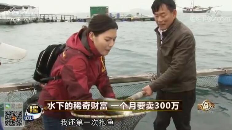 致富经 [致富经]水下的稀奇财富 一个月要卖300万 20180327
