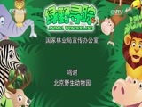 绿野寻踪 《绿野寻踪》 20170524