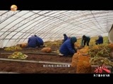 好人在身边 《好人在身边》 20160821 为了薯乡的飞跃