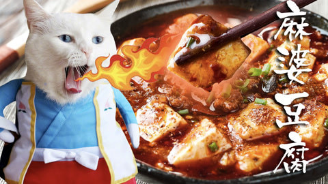 日食记 麻辣椒香的麻婆豆腐