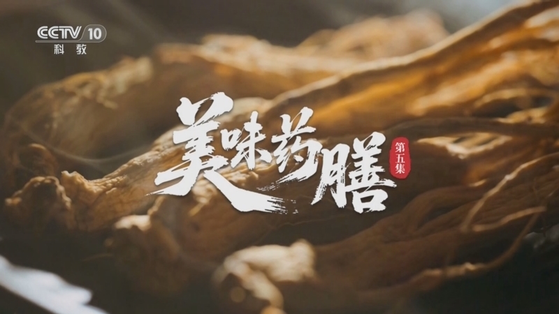 《沿着纬度听中国》 第5集 美味药膳