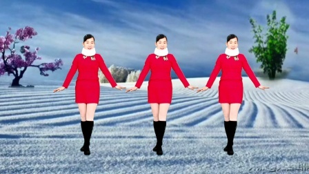 广场舞《又见雪花飞》歌甜舞美，简单大方