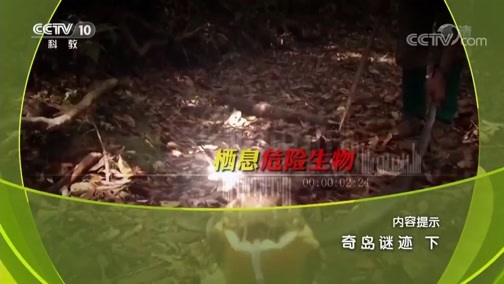 地理中国 《地理中国》 20190316 奇岛谜迹（下）