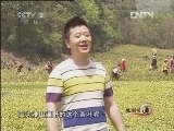 生财有道 [生财有道]一片金黄的茶叶(20120504)
