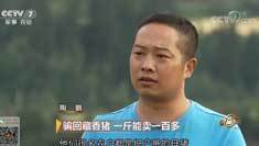 致富经 [致富经]骗回藏香猪 一斤能卖一百多 20180824