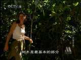 动物世界 动物世界 天蓬世界（上）
