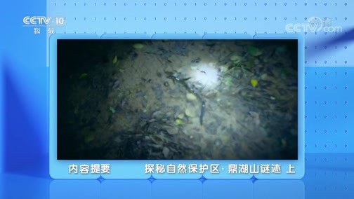 地理中国 《地理·中国》 20200228 探秘自然保护区·鼎湖山谜迹 上