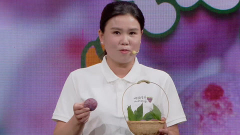 李子界“银妃仙子”三华李 酸甜交织让人魂牵梦萦