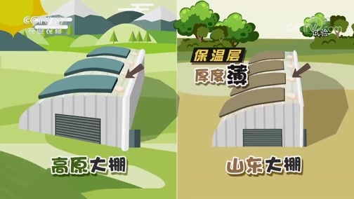 致富经 《致富经》 20190828 高原上种下蔬菜梦