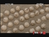 科技人生 《科技人生》 20121016 寻找巨型斑鳖