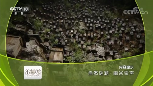 地理中国 《地理中国》 20180919 自然谜题·幽谷奇声