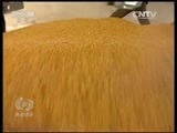 焦点访谈 《焦点访谈》 20160604 玉米多了也烦恼