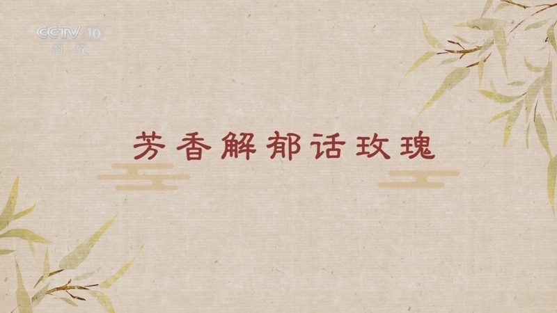 百家讲坛 《百家讲坛》 20251226 舌尖上的养生（第三部） 2 芳香解郁话玫瑰