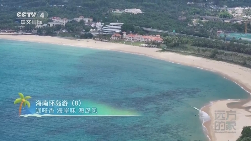 远方的家 《远方的家》 20241105 海南环岛游（8） 咖啡香 海岸味 海岛风