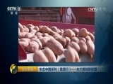 生财有道 《生财有道》 20161122 生态中国系列（草原行）——木兰围场新财路