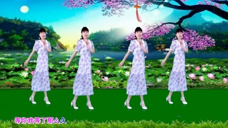 经典情歌广场舞《等你等了那么久》32步