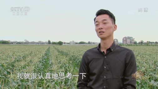 致富经 《致富经》 20200807 退伍军人的农业梦
