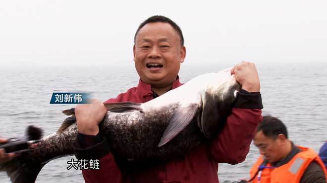 致富经 [致富经]两个疼媳妇的男人 稀奇招法卖千万财富 20190426