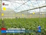 贵州新闻联播 《贵州新闻联播》 20180109