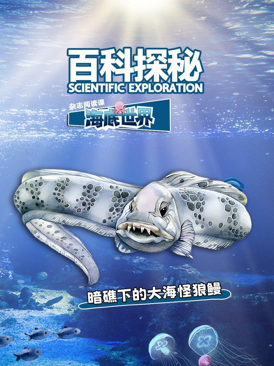 百科探秘海底世界：暗礁下的大海怪狼鳗