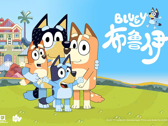 布鲁伊第1季