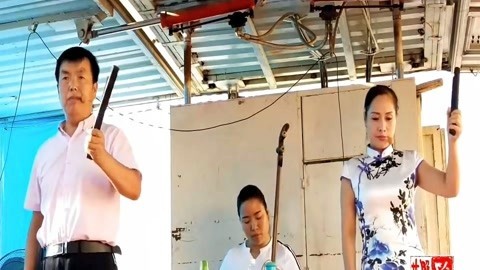 河南坠子 河南坠子刘公案斩刘墉
