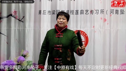 河南坠子《大明奇冤》