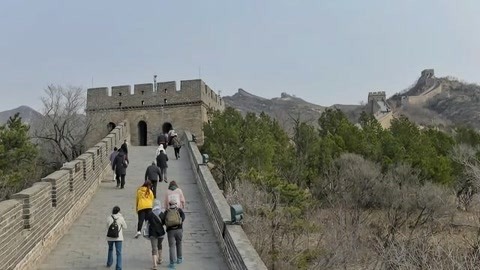 1818黄金眼 1818黄金眼20200510