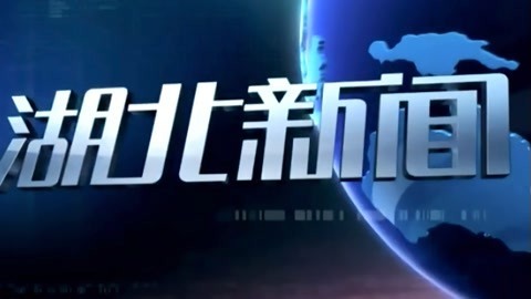 湖北新闻 20211016