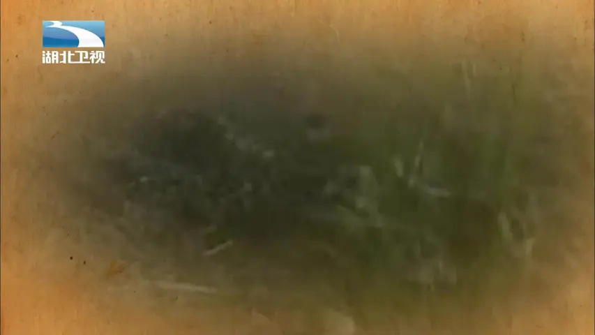 伟大长征 《伟大长征》第4集