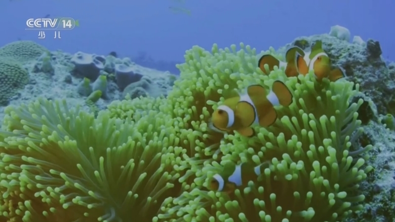 《智慧树》 20260402