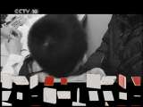 健康之路 《健康之路》 20110714 中医看过来——小儿咳嗽