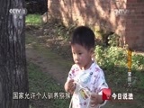 今日说法 《今日说法》 20141225 猴戏戴上“紧箍咒”