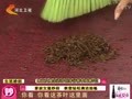家政女皇 《家政女皇》20120108：家政女皇妙招  教您轻松清洁地毯