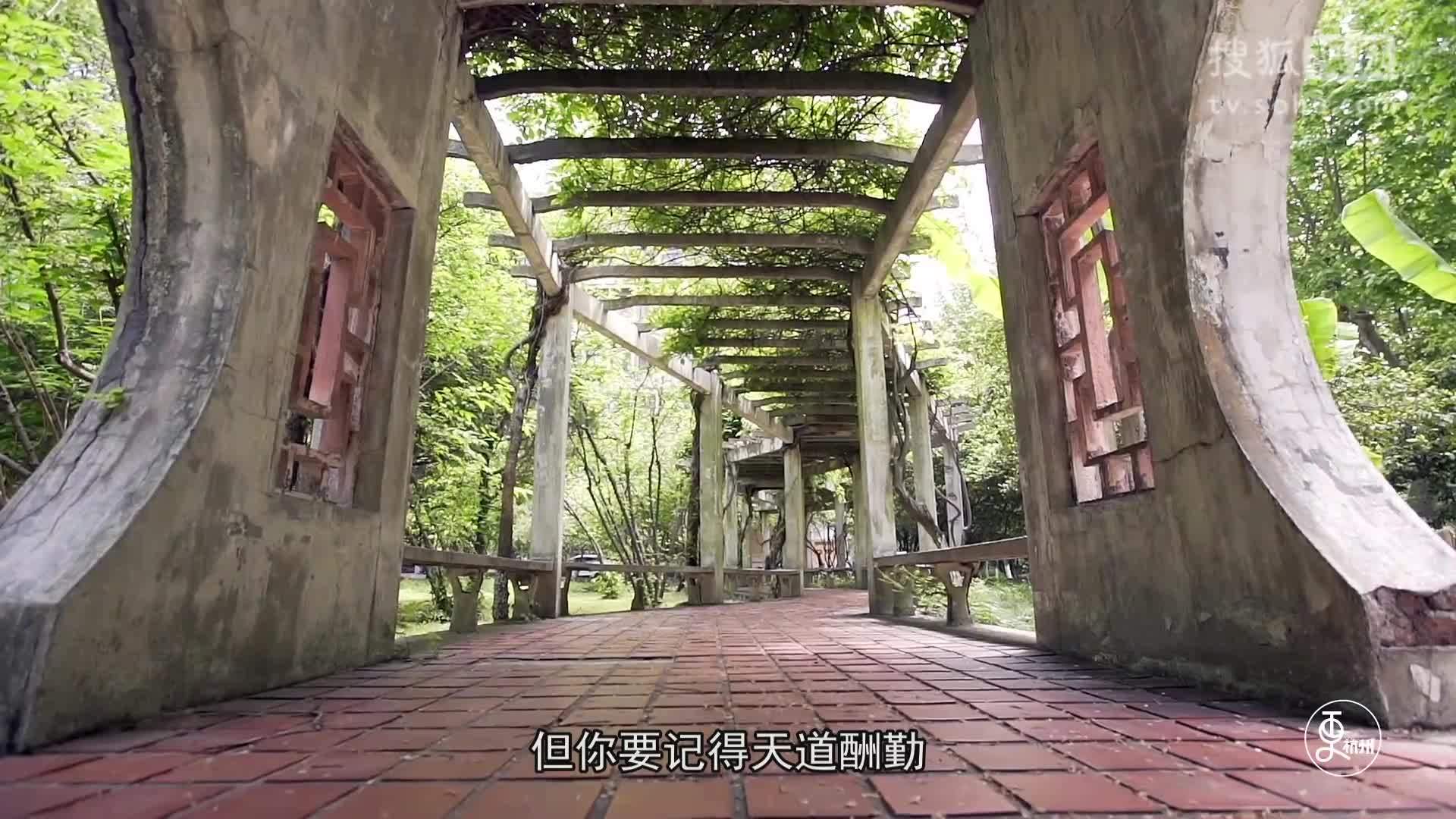 更杭州 更杭州｜大学有多好，毕业才知道