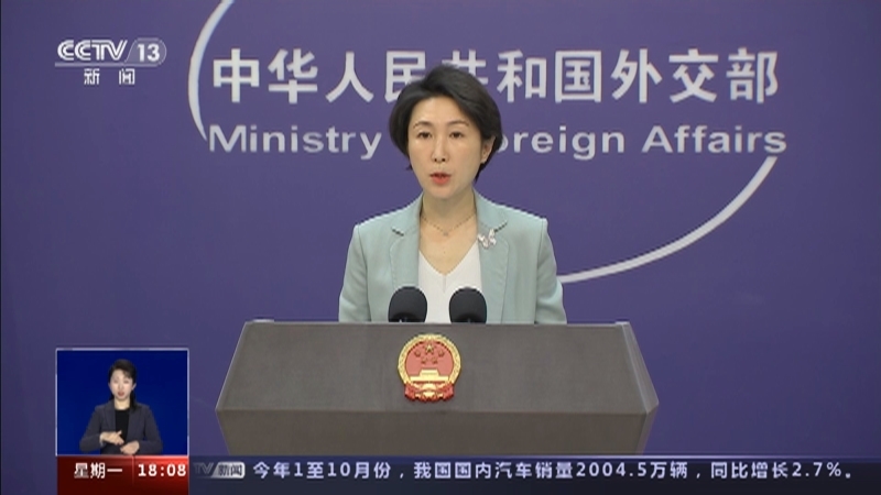共同关注 《共同关注》 20231120