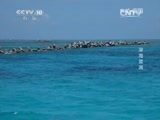 地理中国 《地理中国》 20150605 世界海洋日特别节目·深海蓝渊