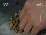 我爱发明 《我爱发明》 20180221 挤爆咖啡果