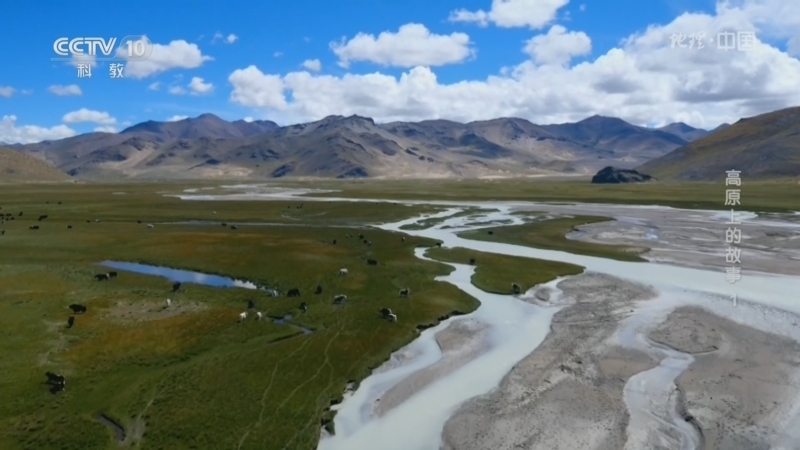《地理·中国》 20260402 高原上的故事1