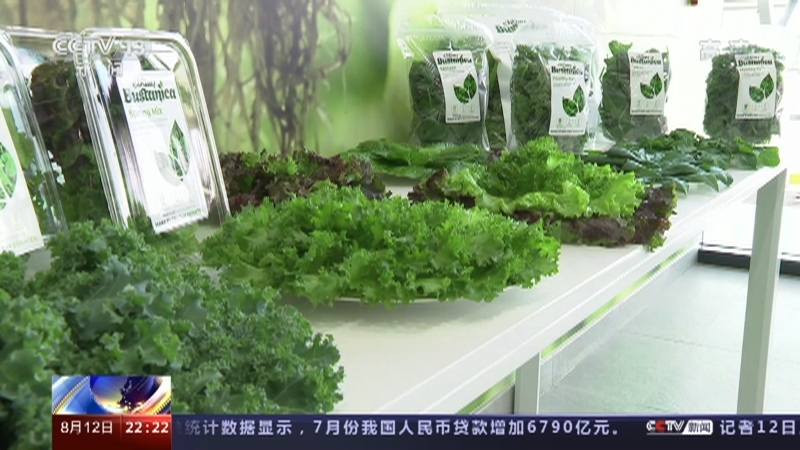 国际时讯 《国际时讯》 20220812