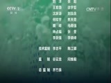环球经济连线 《环球财经连线》 20160804