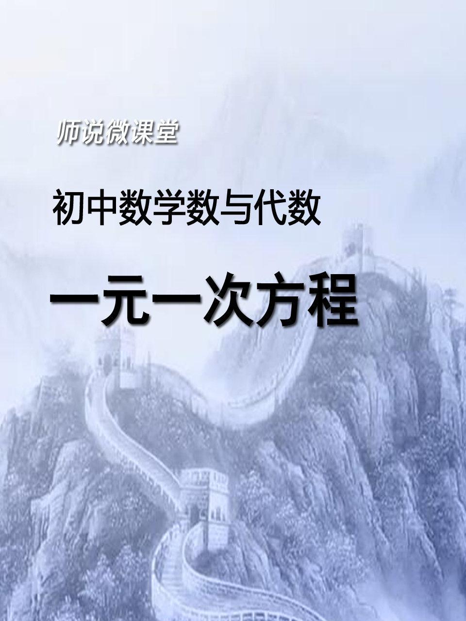 初中数学数与代数 一元一次方程