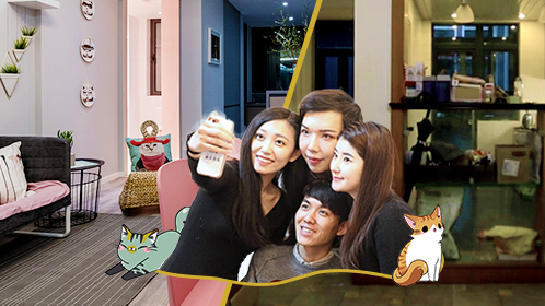 第8期：8只猫与4位铲屎官的豪华版爱情公寓