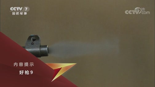 兵器面面观 《兵器面面观》 20191028 好枪9